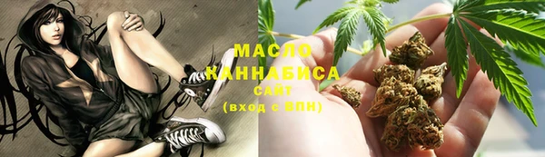 гидра Инсар