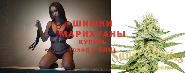 гидра Инсар