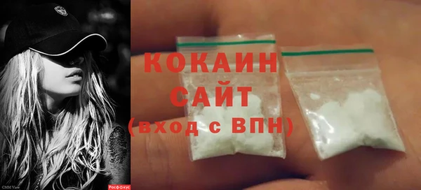 гидра Инсар