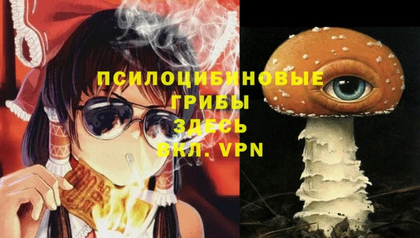 марки nbome Инта