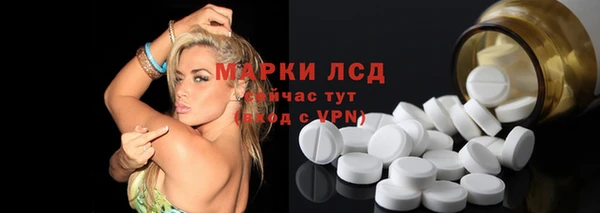 гидра Инсар
