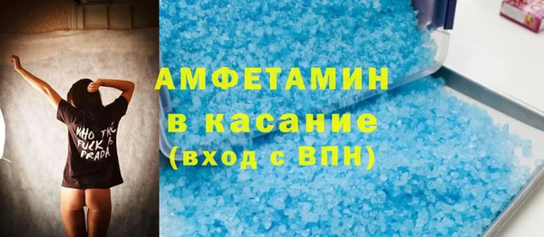 гидра Инсар