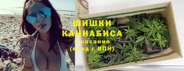 гидра Инсар