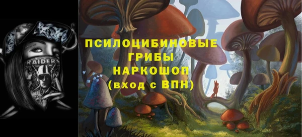 гидра Инсар