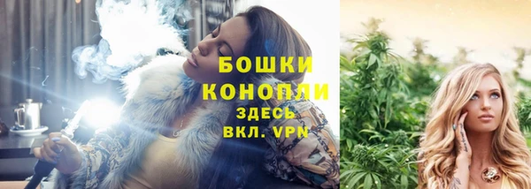 гидра Инсар